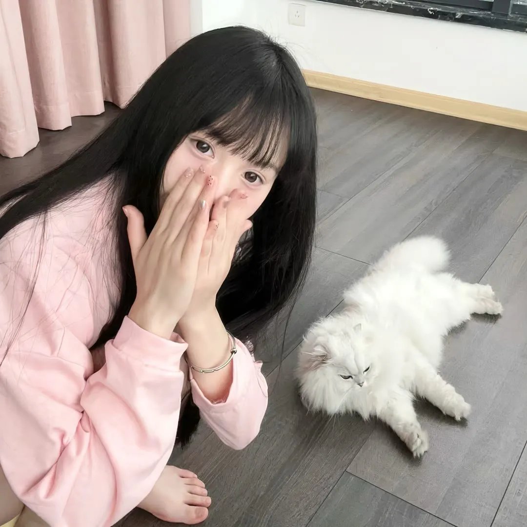 攻壳机动队：崛起3